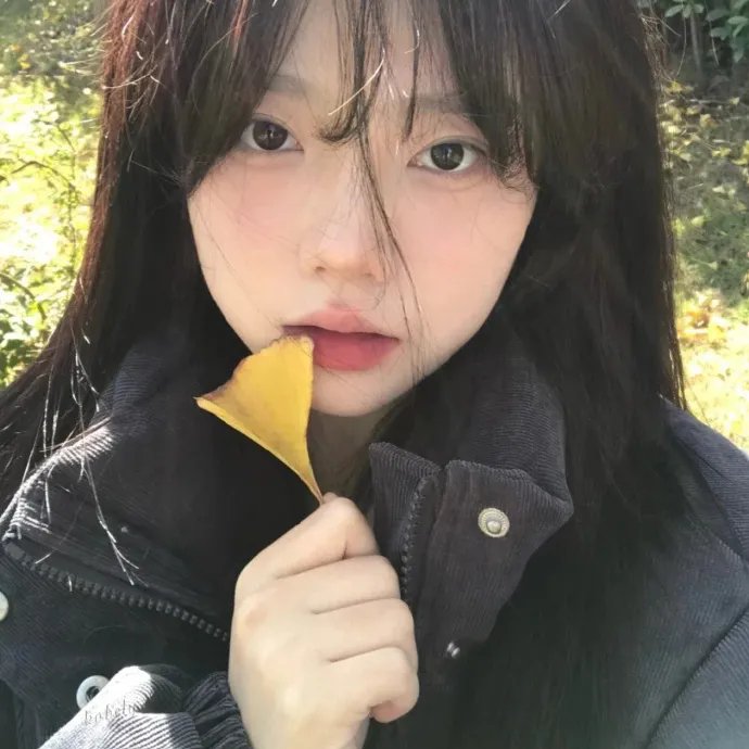 良医第四季